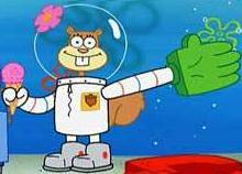 sandy from spongebob karate